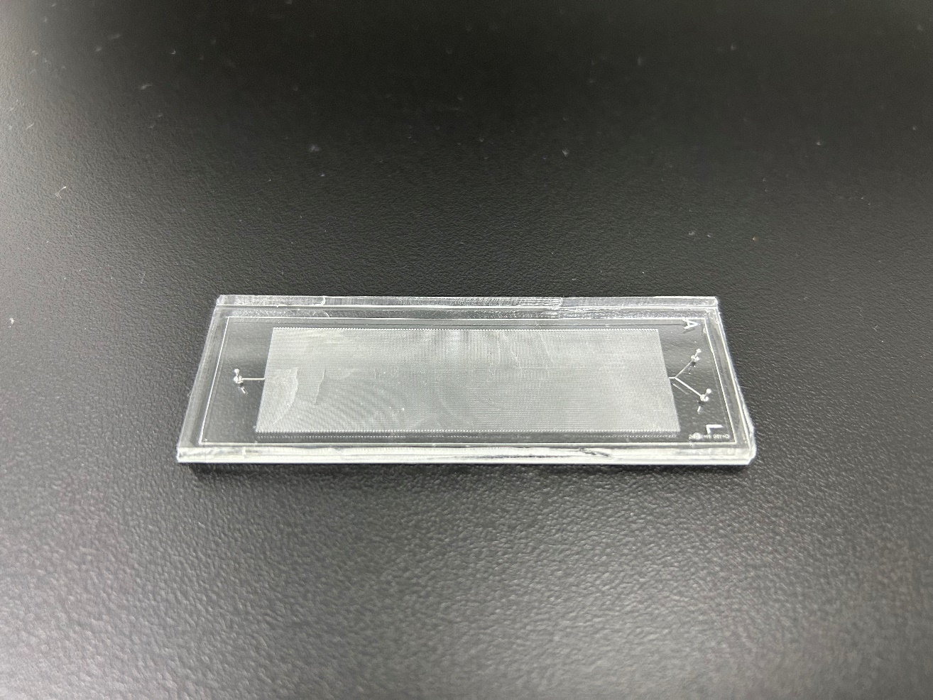 Multi-channel microfluidic chip